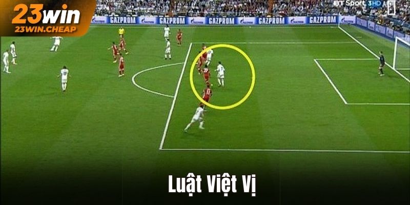 Luật Việt Vị - Tìm Hiểu Về Luật Phổ Biến Trong Bóng Đá