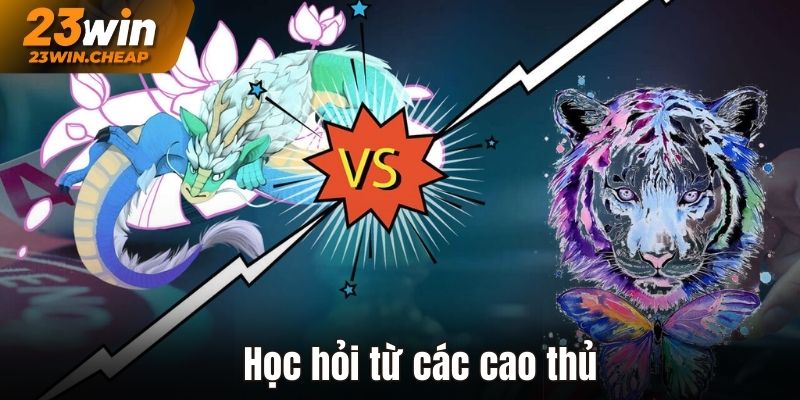 Học hỏi các soi cầu rồng hổ từ cao thủ