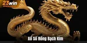 Xổ Số Rồng Bạch Kim - Khám Phá Phương Pháp Soi Cầu Mới